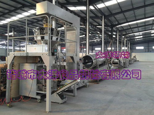 小麻花充气包装机与食品真空袋装机在半导体分立器件制造中的应用